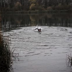 2024 Orca Hombres Athlex Flow Triatlón Neopreno MN14TT42 - Silver Total -Aqua Sport Tienda 40829 202320Orca20Mens20Athlex20Flow20Triathlon20Wetsuit20MN14TT4220 20Silver20Total20333.2000x2000